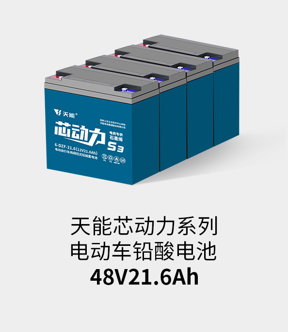 Stake官网电池48v20ah