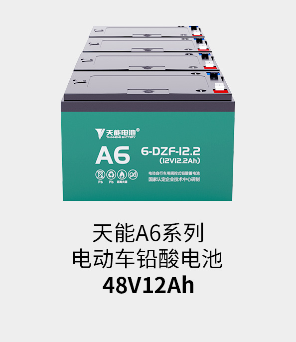 Stake官网电池48v12ah