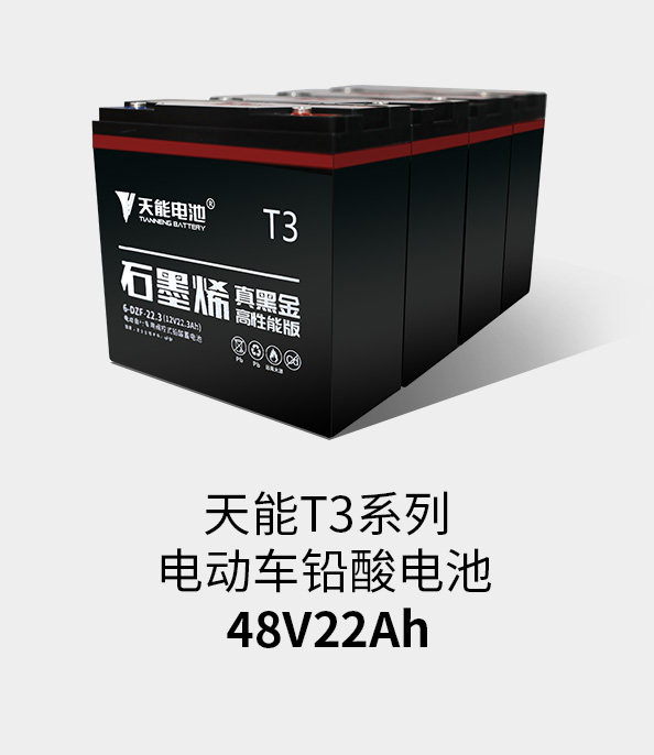Stake官网T3系列48v22ah