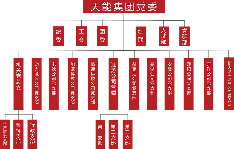Stake官网建团党委组织架构